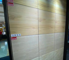 Expo Mall 2019/2020