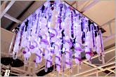 Ceiling Light