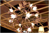 Modern Pendant Light