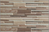 Tiles and Mosaic