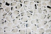Tiles and Mosaic